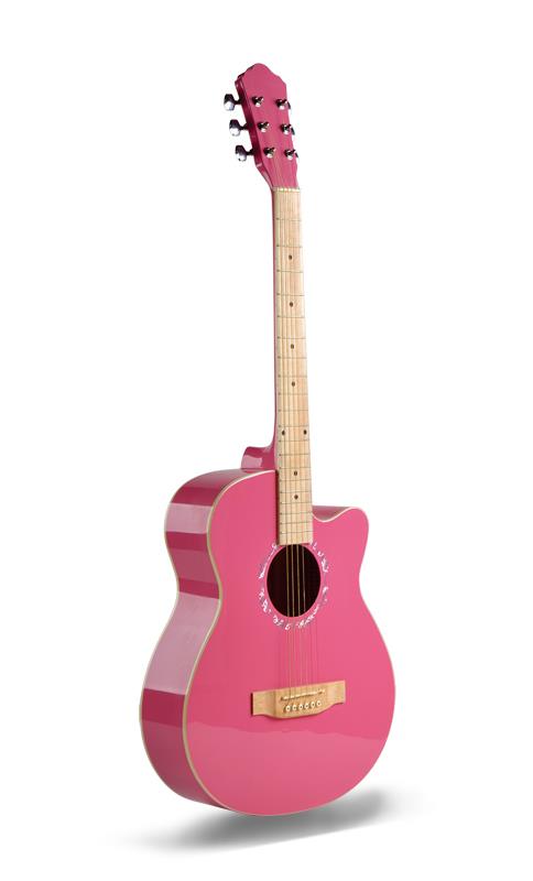 Beginner Acoustic Guitar Beginner Acoustic Guitar